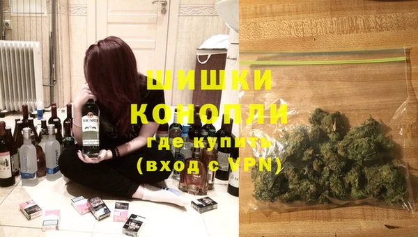 стаф Майский