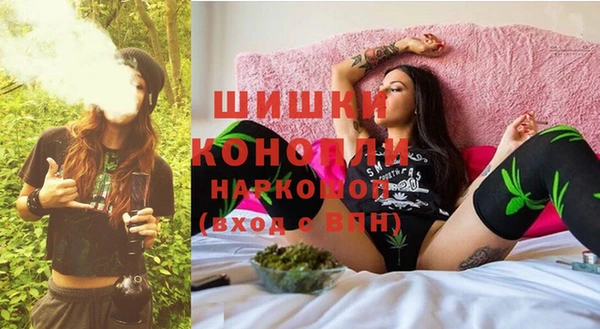 стаф Майский