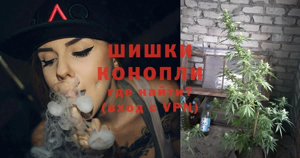 стаф Майский