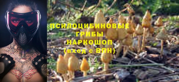 стаф Майский