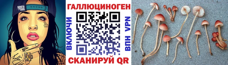 Галлюциногенные грибы MAGIC MUSHROOMS  наркота  Суджа 