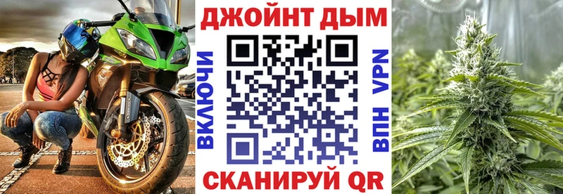 купить  цена  Суджа  Канабис сатива 